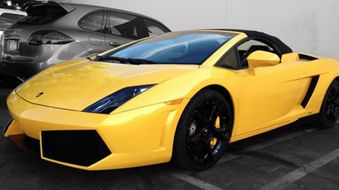 car shipping to holland