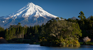 International moving services to New Zealand