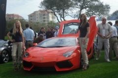 Schumacher-Cargo-Represented-at-Amelia-Concours-DElegance-March-2012-12-1