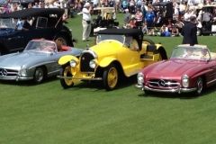 Schumacher-Cargo-Represented-at-Amelia-Concours-DElegance-March-2012-44-1