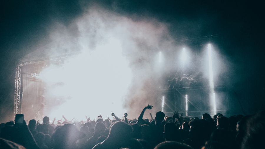 Music Festival Crowd at Night