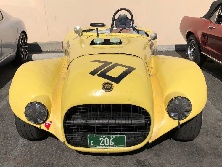 Front View of Old Yeller II