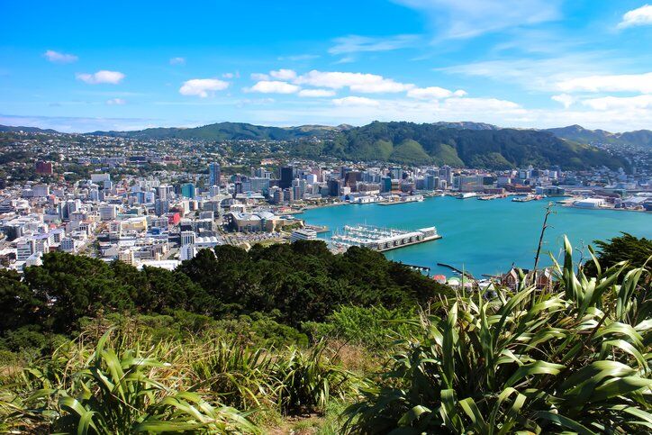 Moving to New Zealand